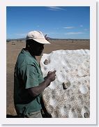 14SerengetiDayGameDrive - 037 * I don't know the composition of this rock, but when struck with another rock, it made a very loud, metalic sound. It was used by the Masai for communication.